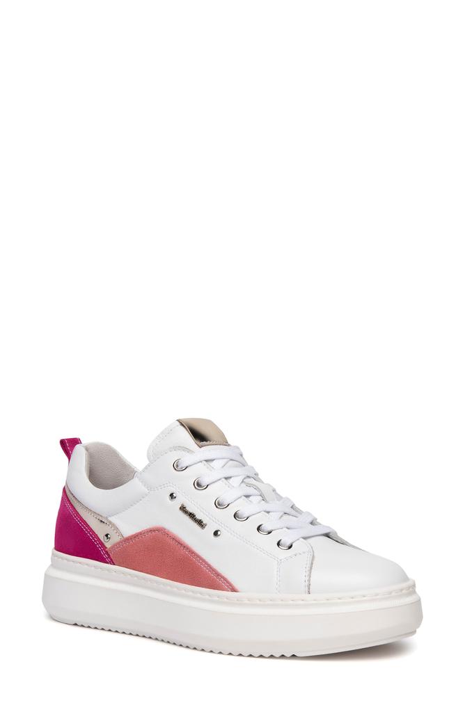 NeroGiardini Retro Colorblock Sneaker