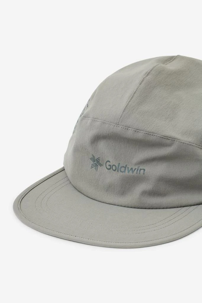 Goldwin Goldwin Hats 2
