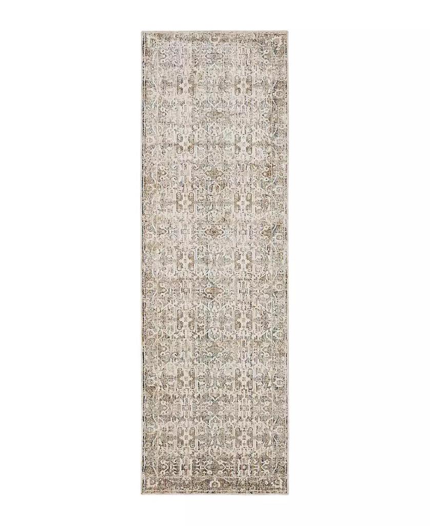 Karastan Divina Bliss 2'6" x 7'10" Runner Area Rug