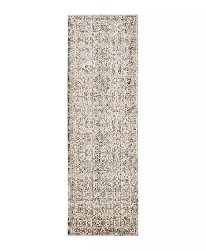 Karastan Divina Bliss 2'6" x 7'10" Runner Area Rug 1