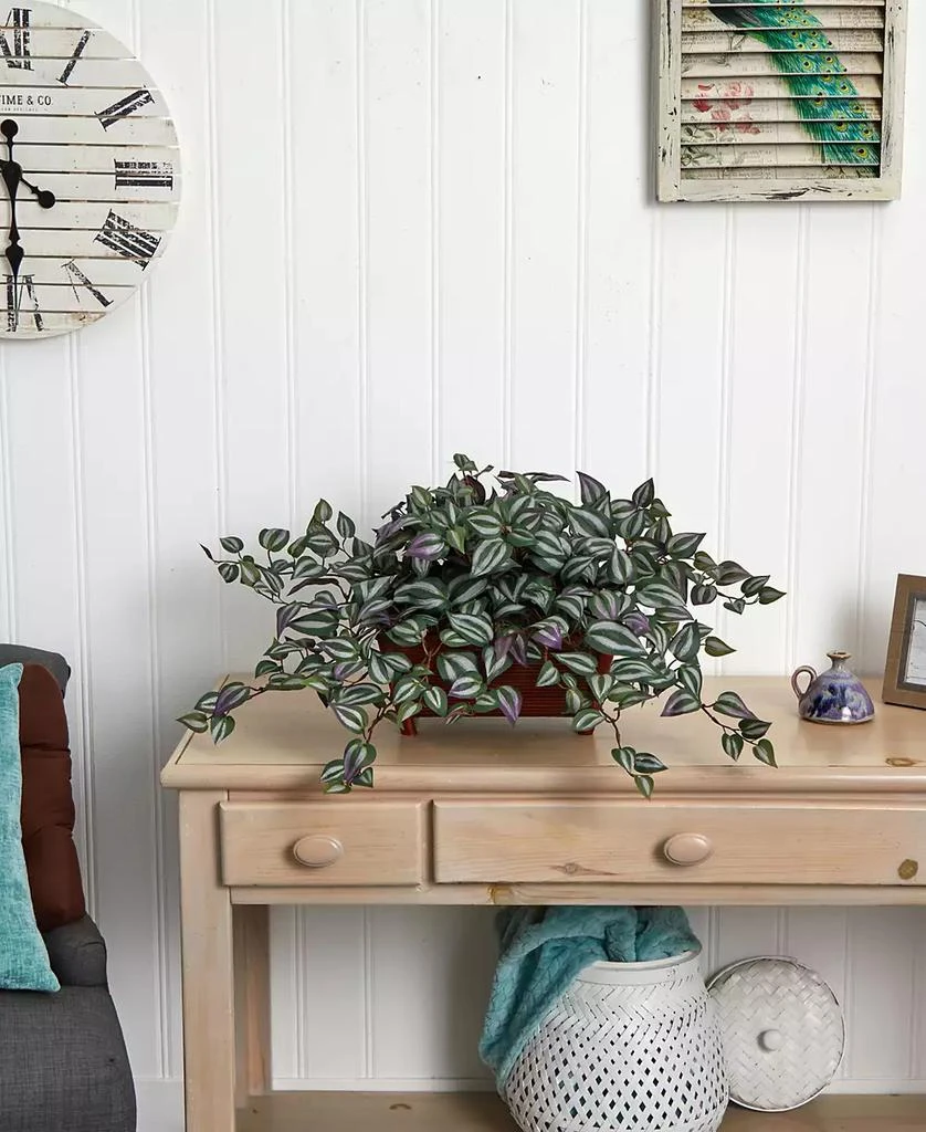 NEARLY NATURAL Wandering Jew Artificial Plant in Decorative Planter 2