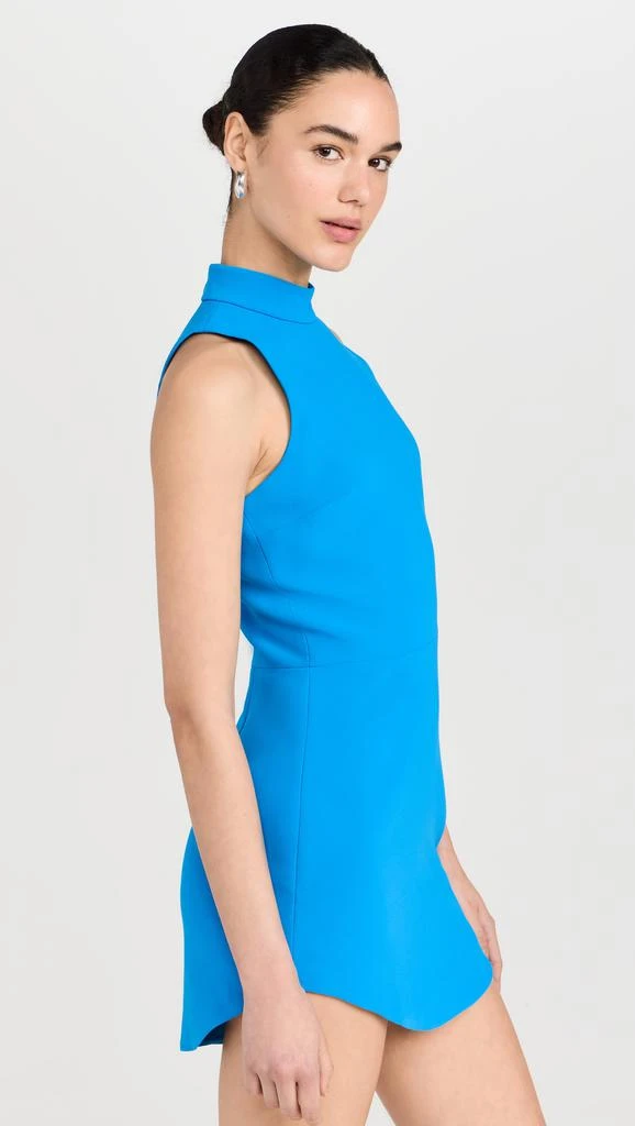 Amanda Uprichard Marshall Dress 3