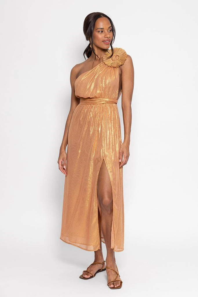 Sundress Robe Longue Laeticia - Sable 6