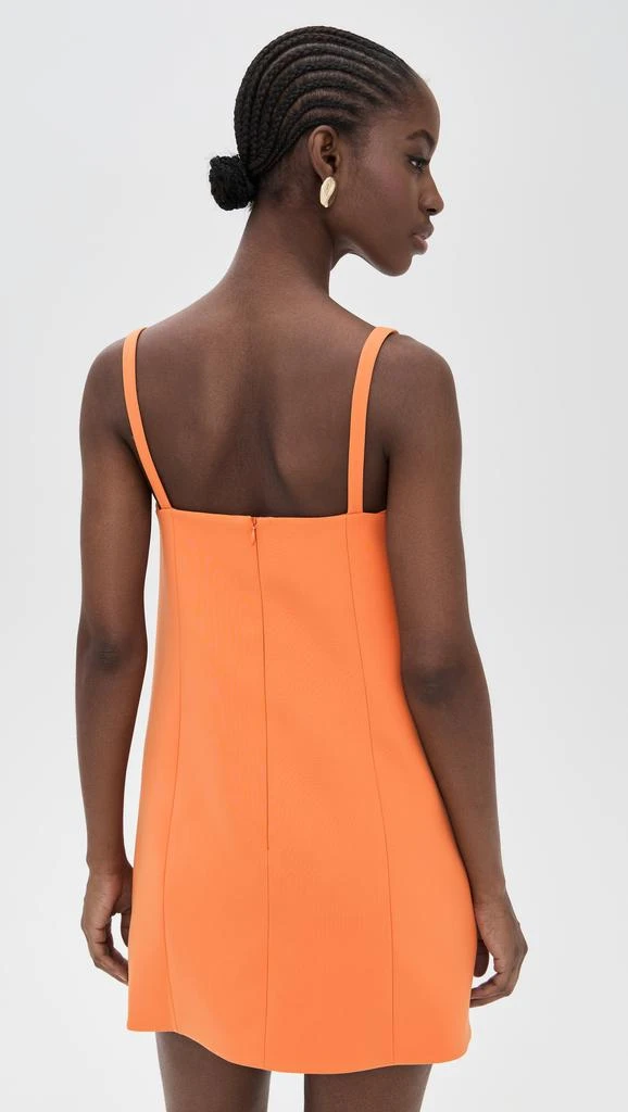 Alexis Larsen Dress 2