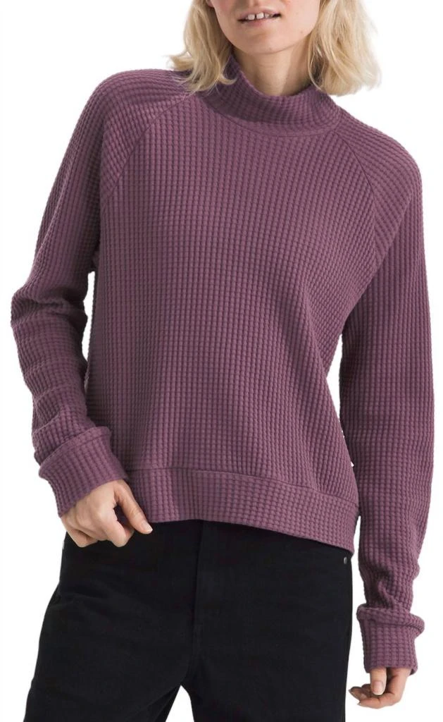 The North Face The North Face - Mock Neck Chabot Pullover 6