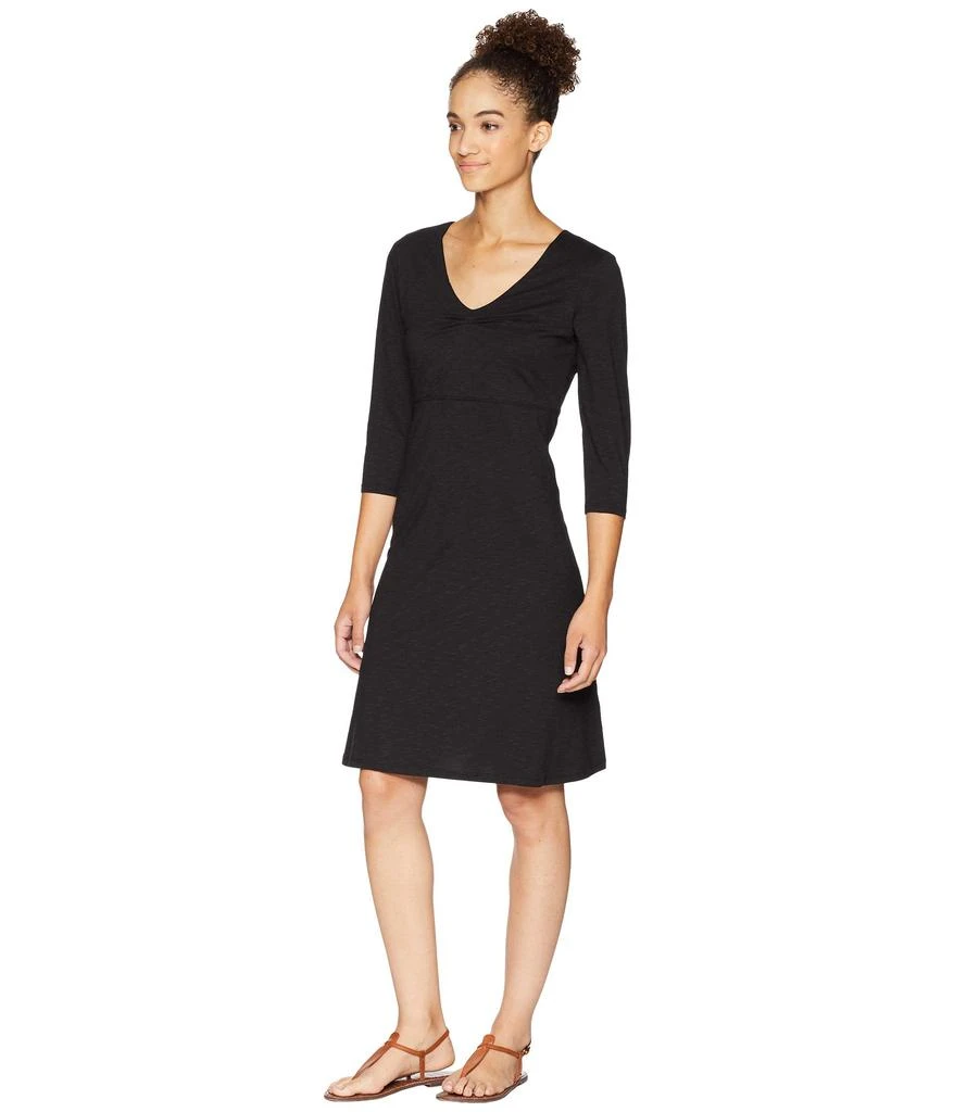 Toad & Co Rosalinda Dress 2