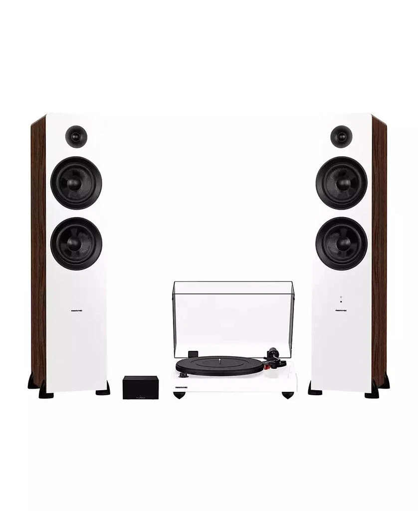 Fluance RT83 Turntable, PA10 Preamp, Ai81 Floorstanding Speakers ...