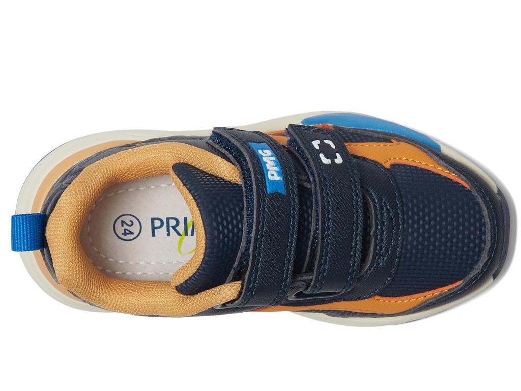 Primigi Kids PUP 69624 (Toddler/Little Kid)