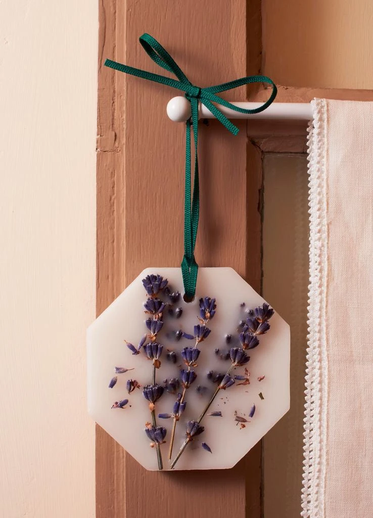 Carriere Freres Botanical palets Lavender - Lavandula Angustifolia 0,55 g x2 3