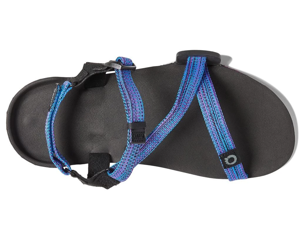 Xero Shoes Z-Trail EV 2
