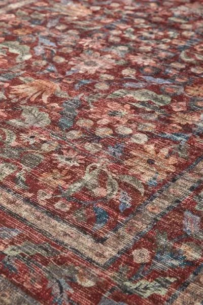Urban Outfitters Rifle Paper Co. X Loloi Courtyard Rug 3