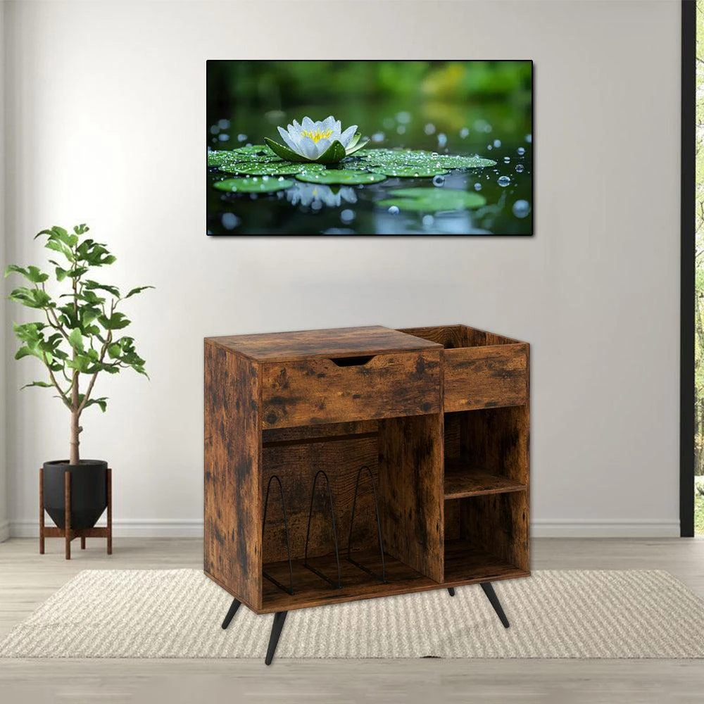 Hivvago Turntable Storage Stand with Built-In Power Station