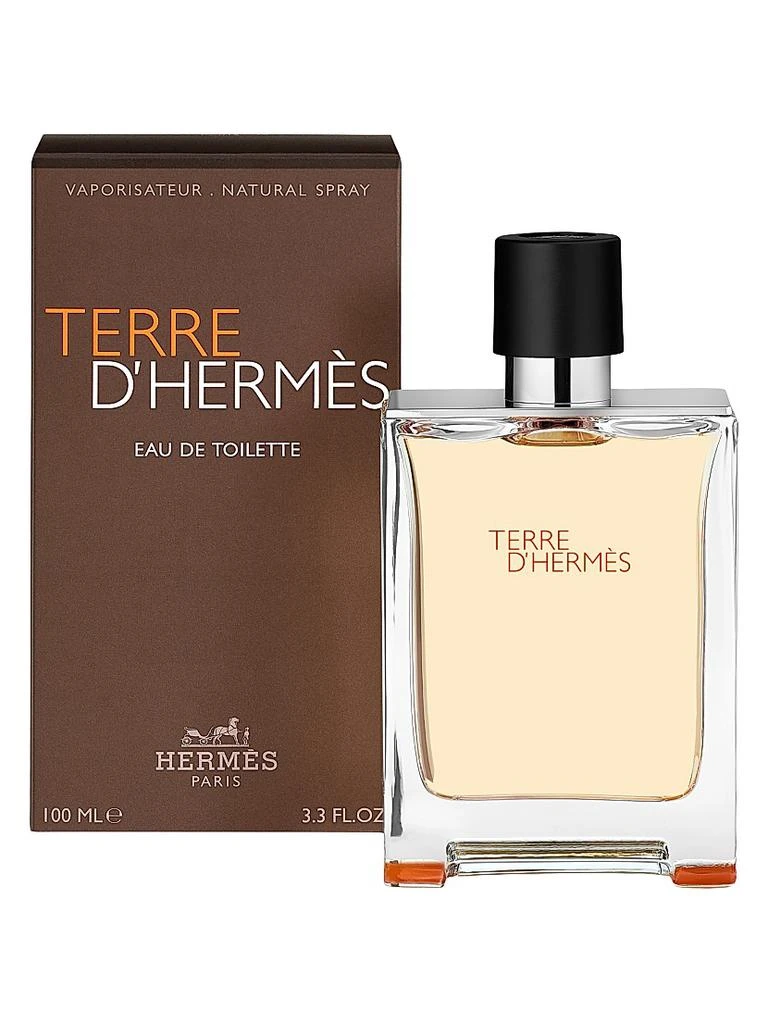 Hermes Terre d'Hermes Eau de Toilette 2