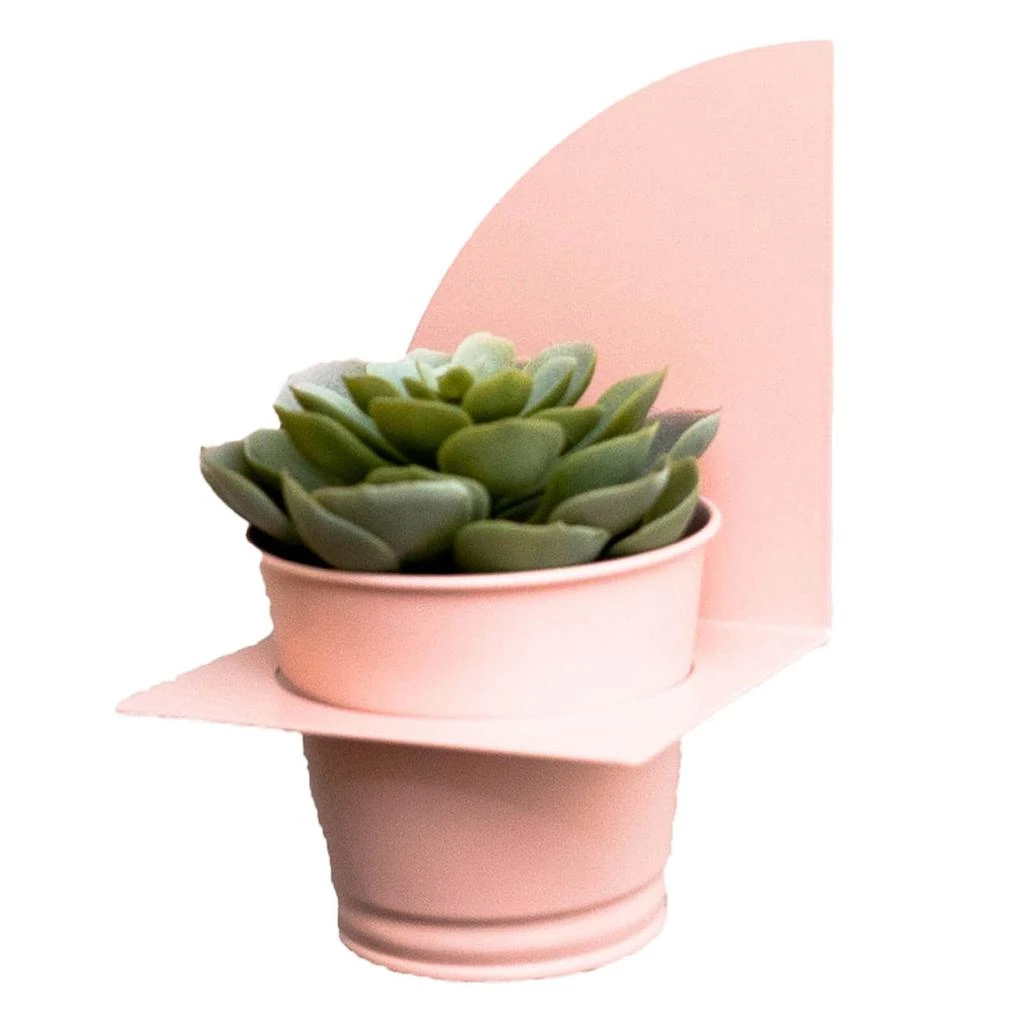 Peg & Board Peg & Board Arc Planter & Pot - Blush Pink 6