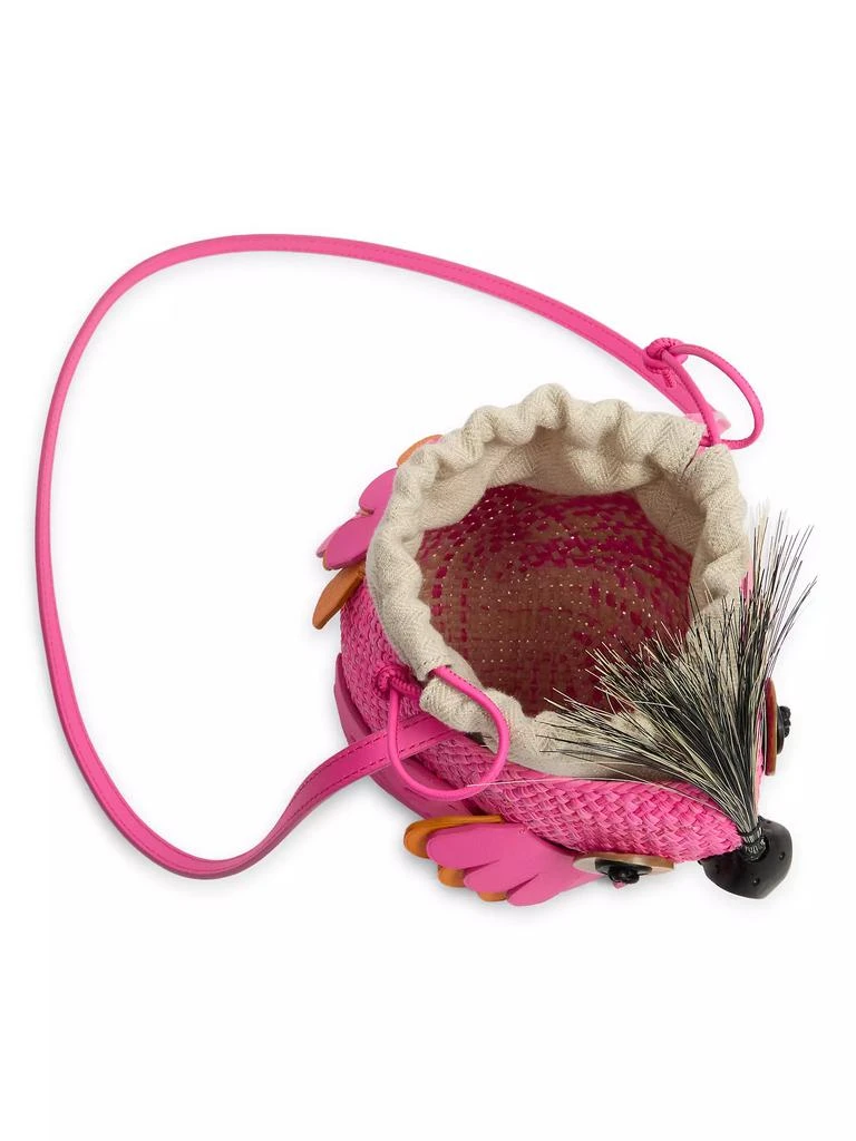Loewe LOEWE x Paula's Ibiza Woven Bird Bag 3
