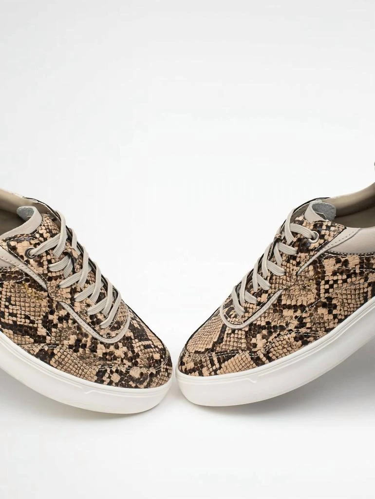 Hoff Hoff - Women
s Low Top Sneaker 3