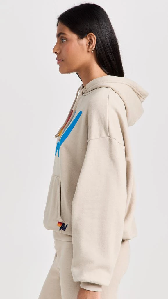 Aviator Nation Relaxed Pullover Hoodie 3