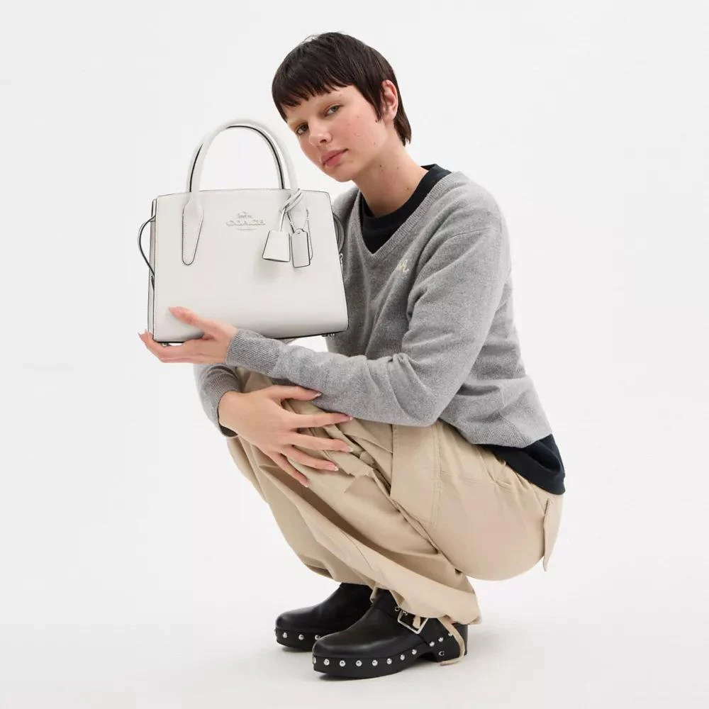 Coach Large Andrea Carryall Bag 3