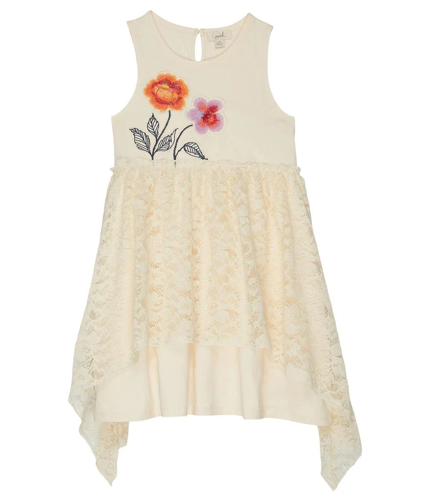 PEEK Spring Roses Applique Dress (Toddler/Little Kids/Big Kids) 1
