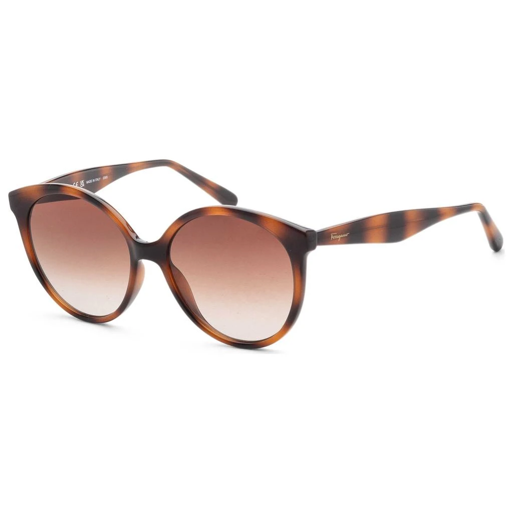 Shop SF 2032S 600 55mm Womens Square Sunglasses on Sale at  display picture 3