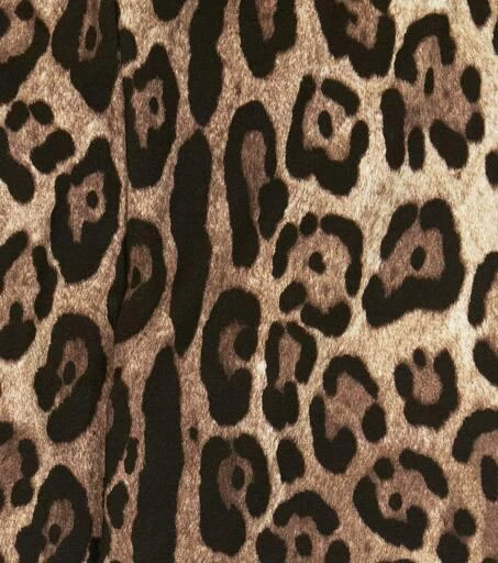 Dolce & Gabbana Leopard-print jersey leggings 2