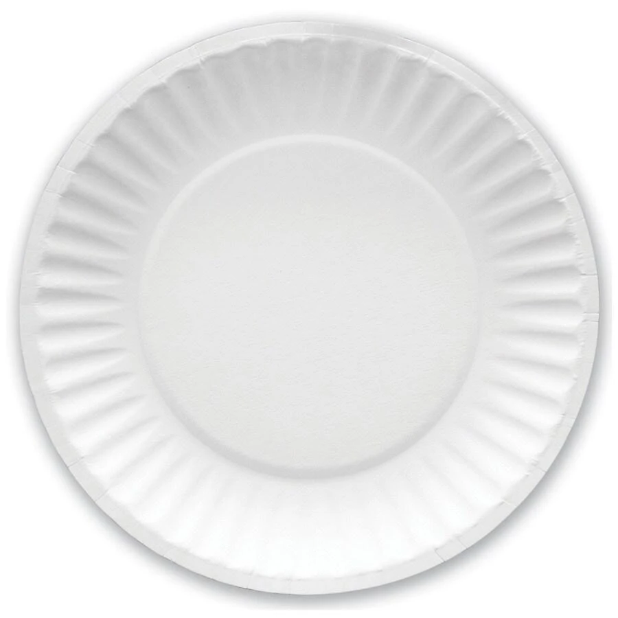 Walgreens Big Plate Paper Plates 6in 2