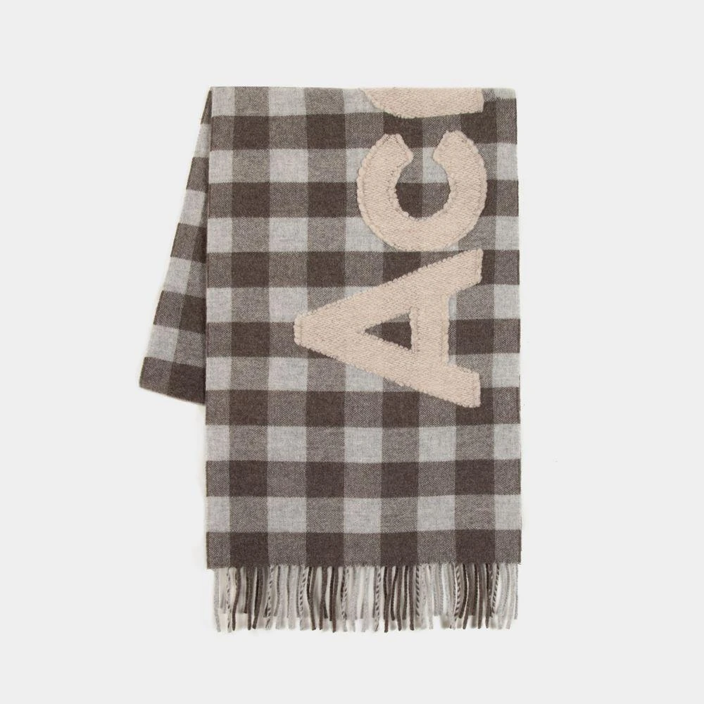 Acne Studios FN UX SCAR000297 SCARF 1
