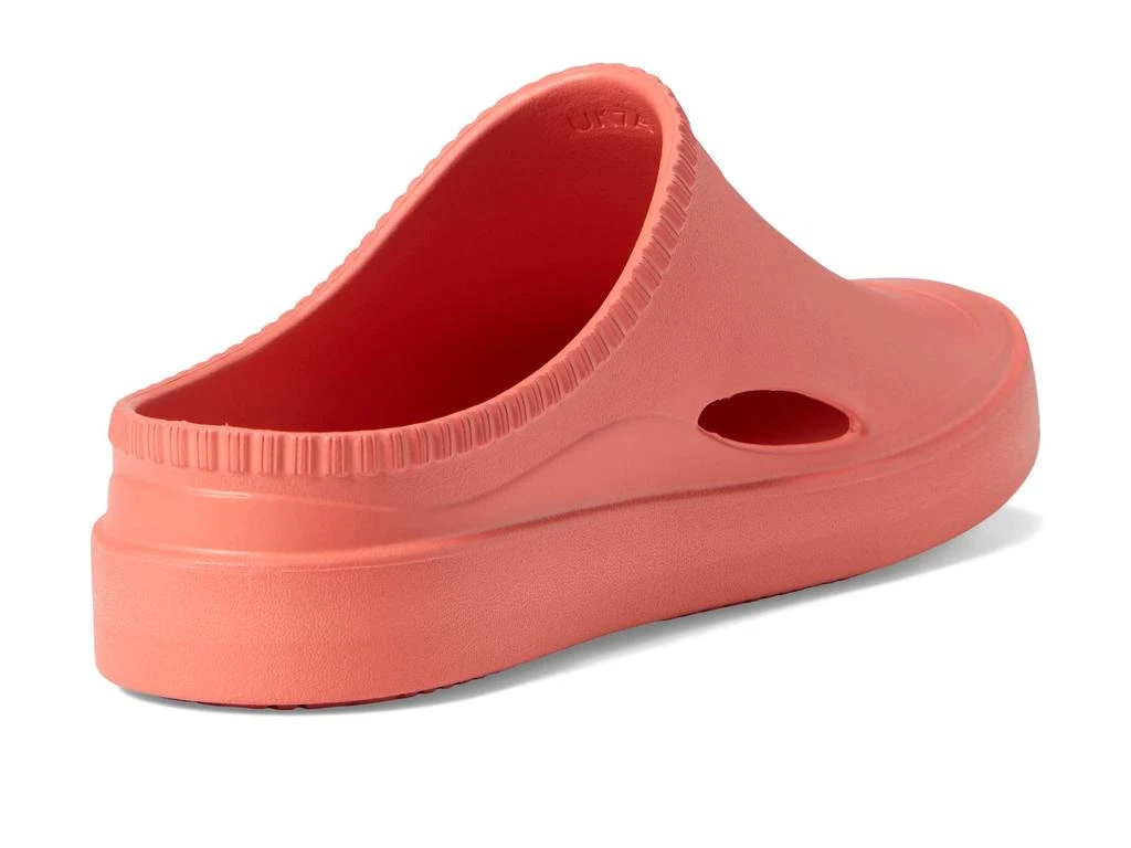 Hunter In/Out Bloom Foam Clog 4