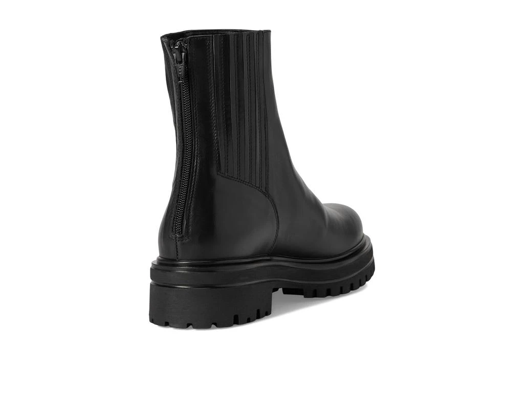 La Canadienne Tayler 5