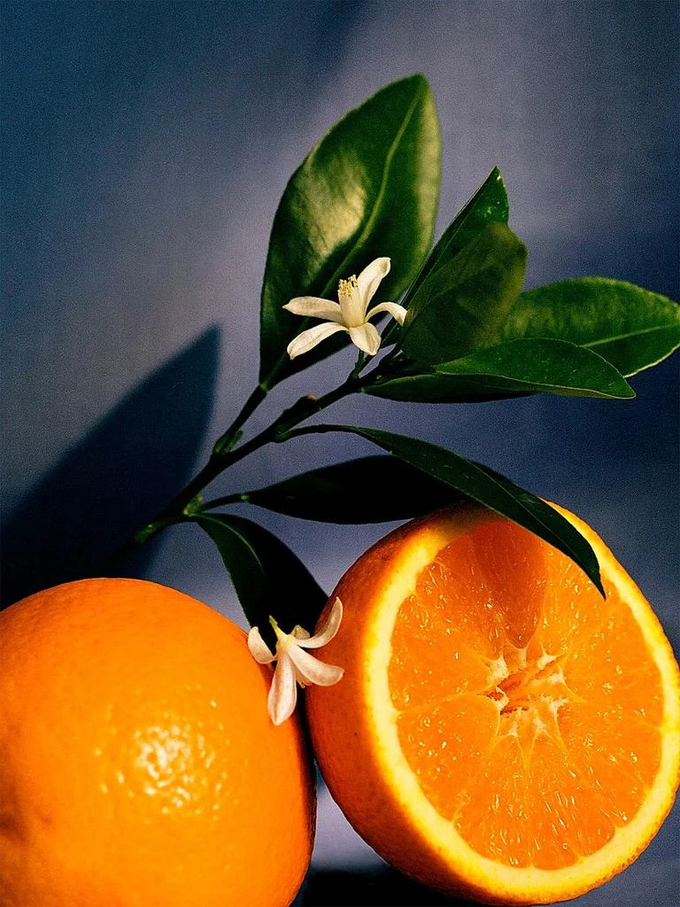 LOEWE Perfumes Orange Blossom Scented Candle 4