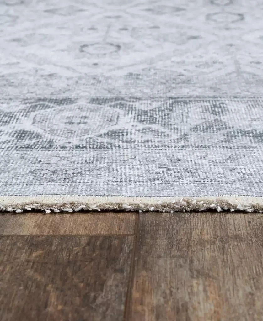 Momeni Chandler CHANDCHN-4 4' x 6' Area Rug 3