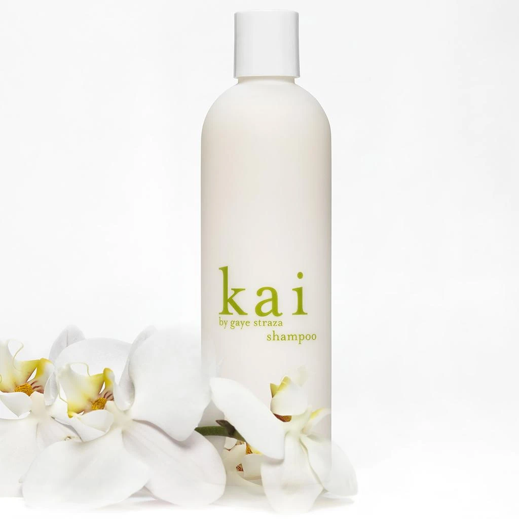 kai kai Shampoo 2