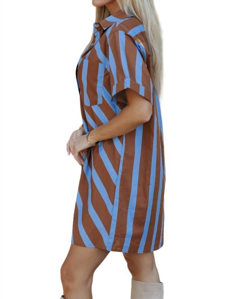 entro Striped Mini Dress In Brown/blue