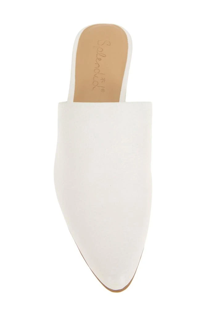 Splendid Lorelei Pointed Toe Mule 4