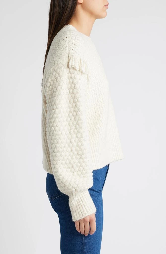 Treasure & Bond Mixed Stitch Fringe Sweater 3