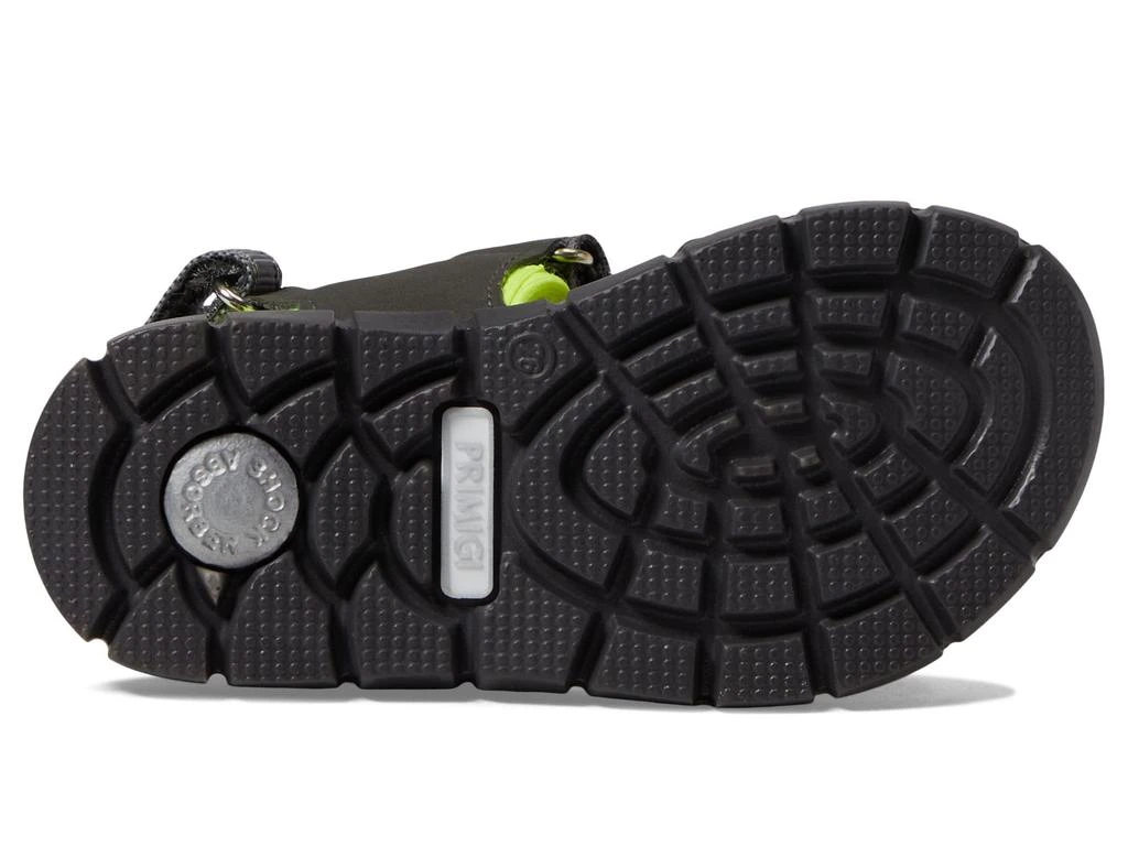 Primigi Kids 38962 (Toddler/Little Kid/Big Kid) 3
