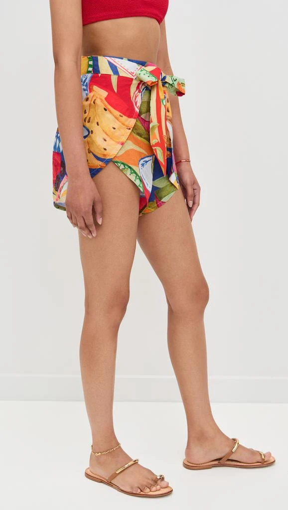 Farm Rio Summer Picnic Shorts 3