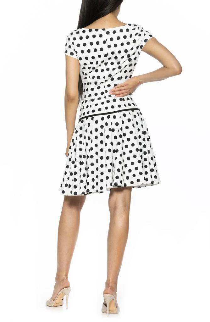 ALEXIA ADMOR Drop Waist Dress 2