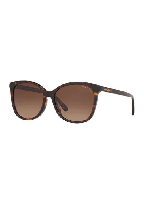 Coach Hc8271u L1101 Polarized Sunglasses 1