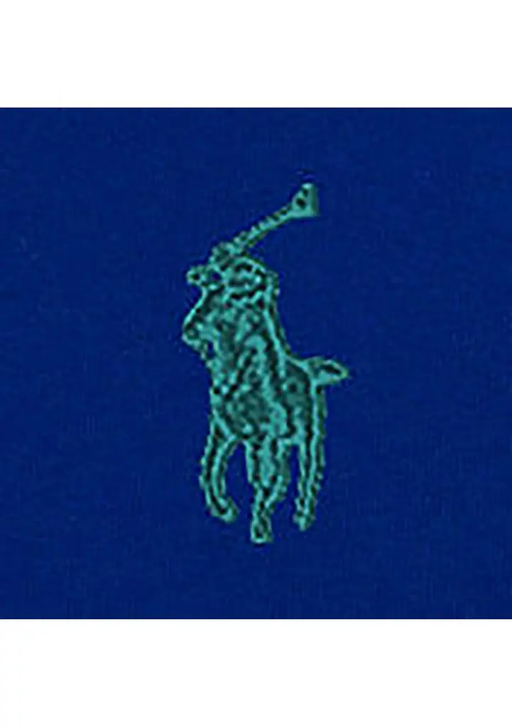 Ralph Lauren Boys 2-7 Fleece Hoodie 3