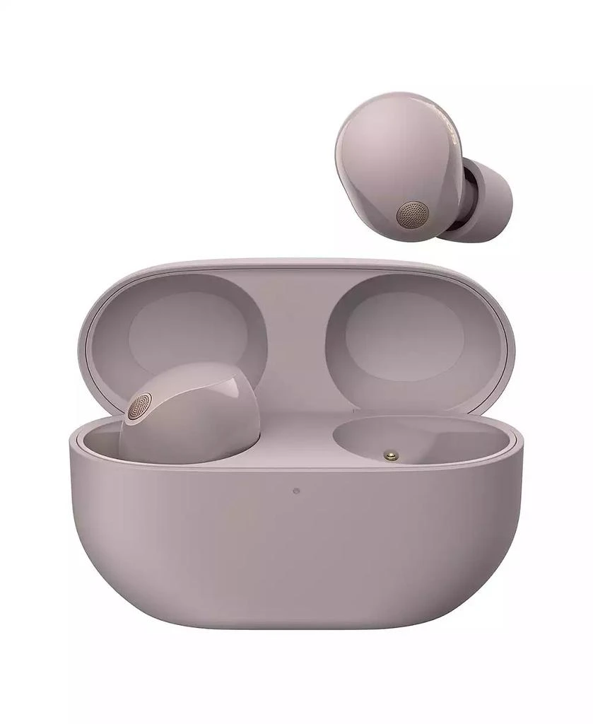 SONY WF-1000XM5 Truly Wireless Noise Canceling Earbuds 2