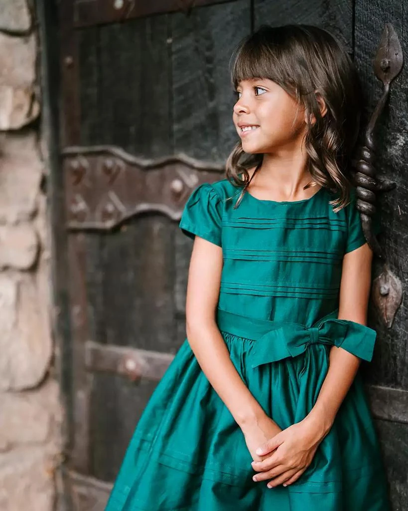 Hope 
Henry Toddler Girls Organic Special Occasion Pleated Sateen Party Dress 3