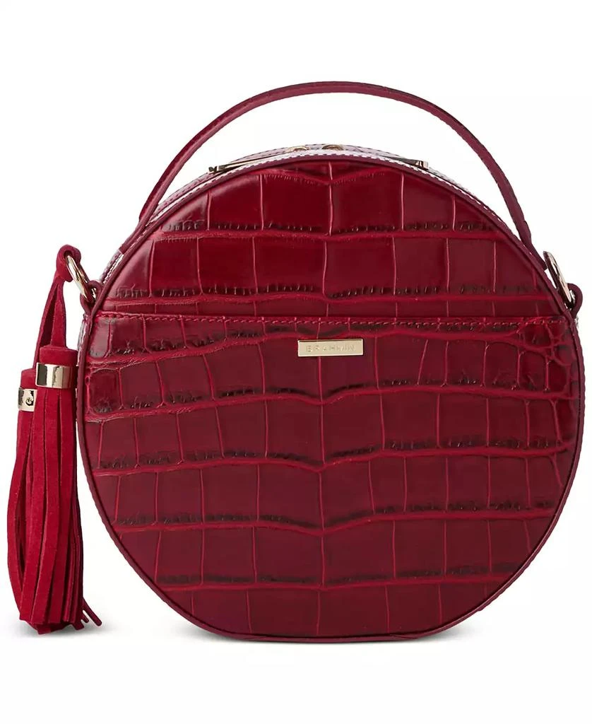 Brahmin Lane Kirin Leather Crossbody 4