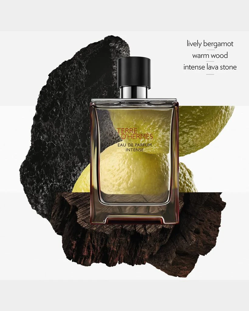 Hermes Terre d'Hermes Eau de Parfum Intense, 3.4 oz. 3