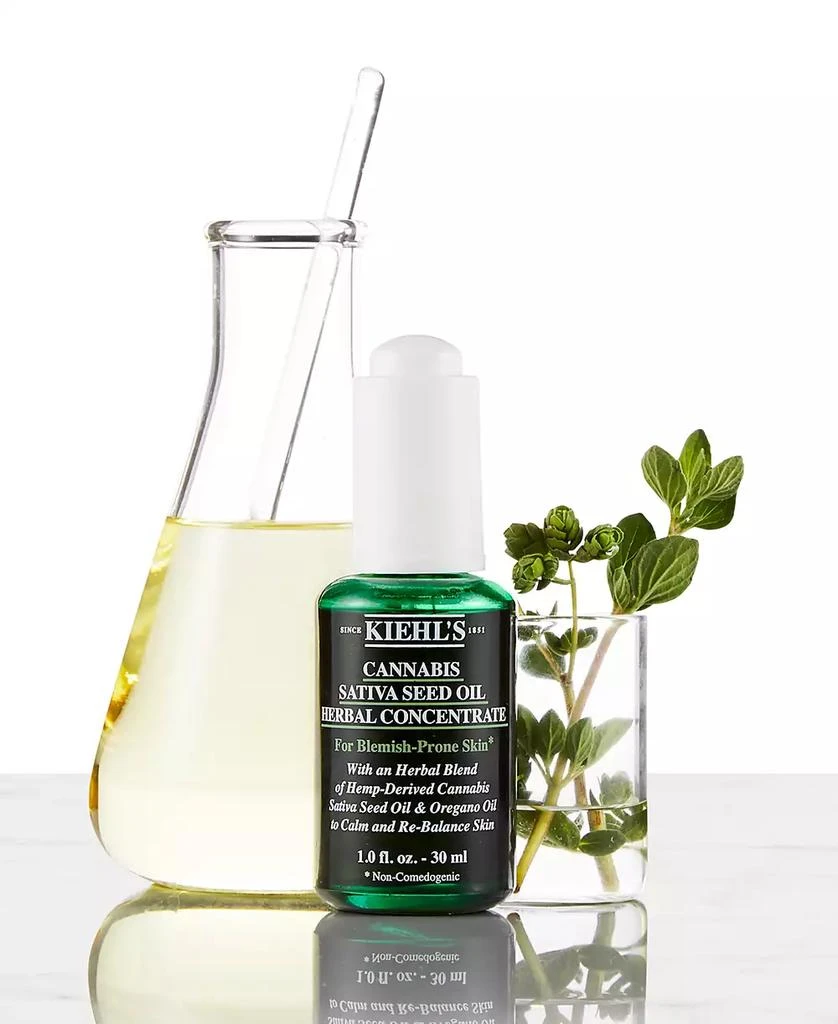 Kiehl's Cannabis Sativa Seed Oil Herbal Concentrate, 1-oz. 6