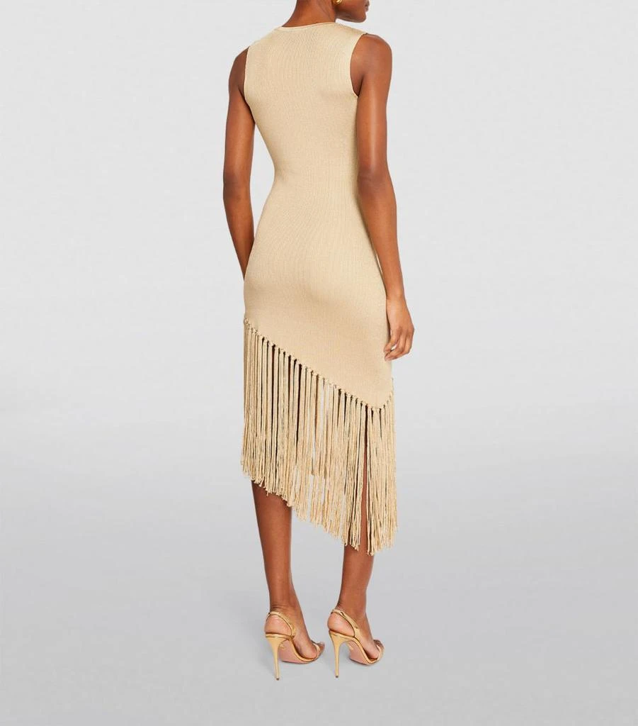 Sandro Fringe-Detail Midi Dress 3