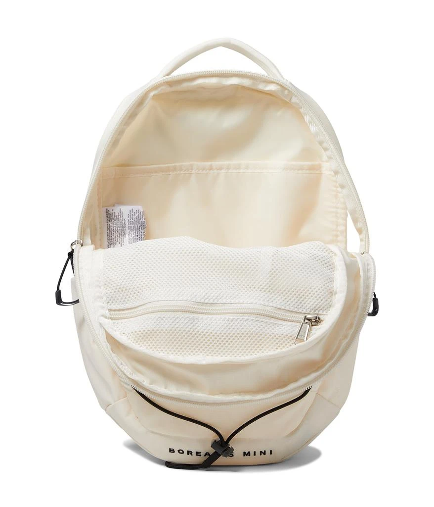 The North Face Borealis Mini Backpack 3