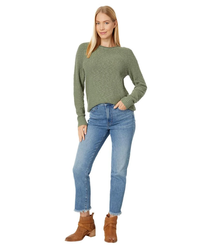 L.L.BEAN Midweight Cotton Slub Rollneck Pullover 4
