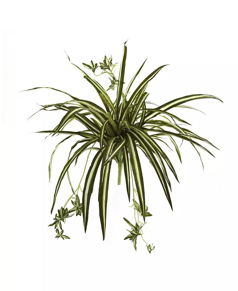 NEARLY NATURAL 4-Pc. 23" Spider Plant Artificial Bush Set