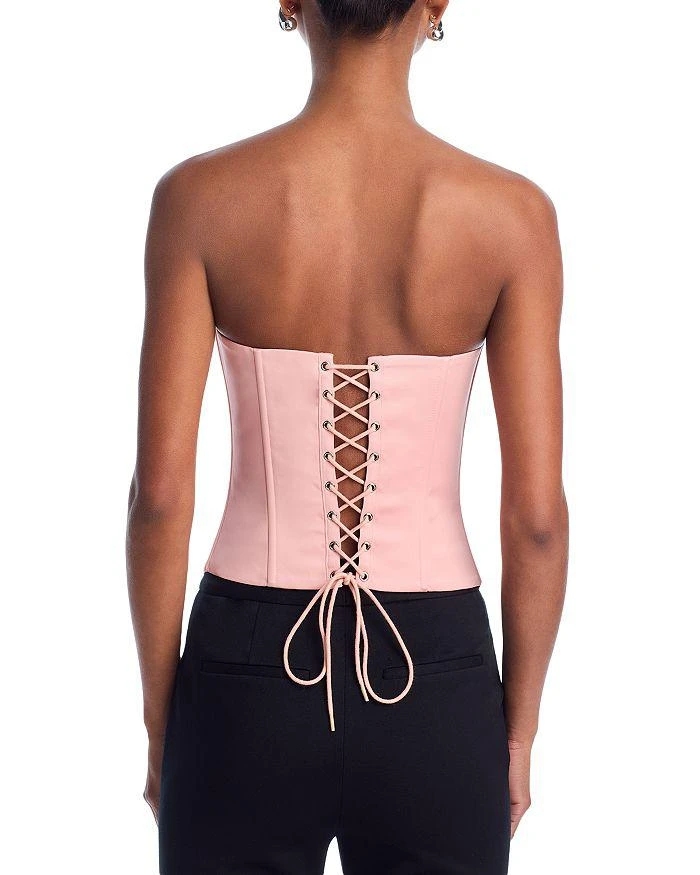 Danielle Guizio Satin Corset Top 3